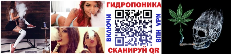 Шишки марихуана планчик  Дыгулыбгей 